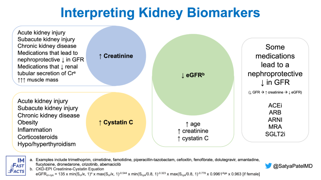 Interpreting Kidney Biomarkers